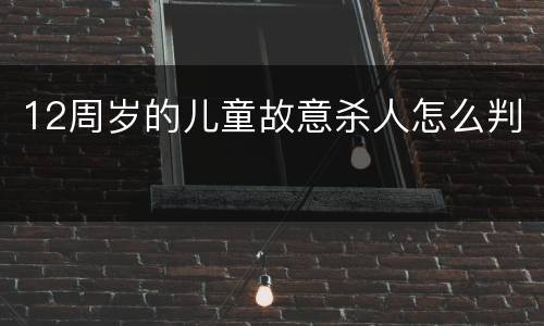 12周岁的儿童故意杀人怎么判