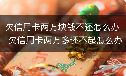 欠信用卡两万块钱不还怎么办 欠信用卡两万多还不起怎么办