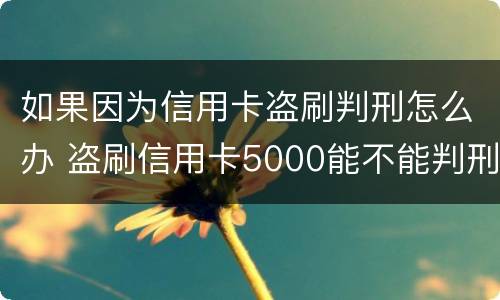 如果因为信用卡盗刷判刑怎么办 盗刷信用卡5000能不能判刑