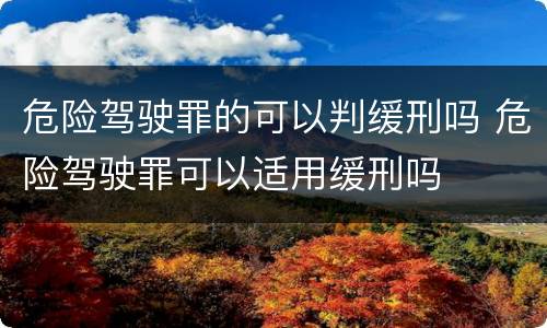 危险驾驶罪的可以判缓刑吗 危险驾驶罪可以适用缓刑吗