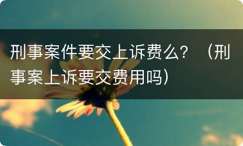 刑事案件要交上诉费么？（刑事案上诉要交费用吗）