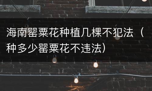 海南罂粟花种植几棵不犯法（种多少罂粟花不违法）