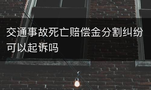 交通事故死亡赔偿金分割纠纷可以起诉吗