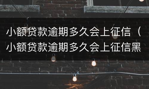 小额贷款逾期多久会上征信（小额贷款逾期多久会上征信黑名单）
