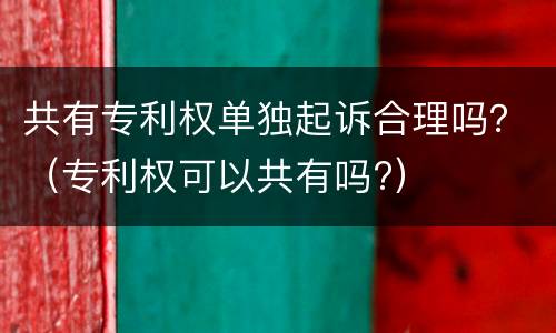 共有专利权单独起诉合理吗？（专利权可以共有吗?）