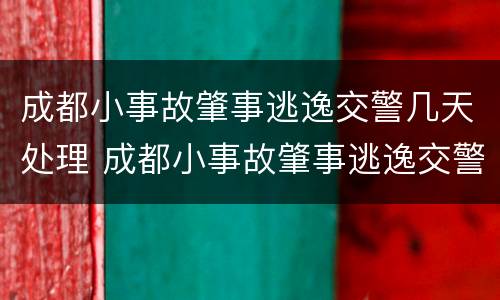 成都小事故肇事逃逸交警几天处理 成都小事故肇事逃逸交警几天处理结束