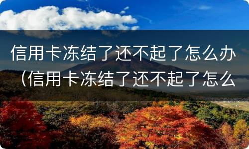 信用卡冻结了还不起了怎么办（信用卡冻结了还不起了怎么办呢）