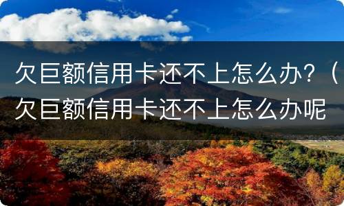 欠巨额信用卡还不上怎么办?（欠巨额信用卡还不上怎么办呢）