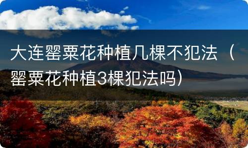 大连罂粟花种植几棵不犯法（罂粟花种植3棵犯法吗）