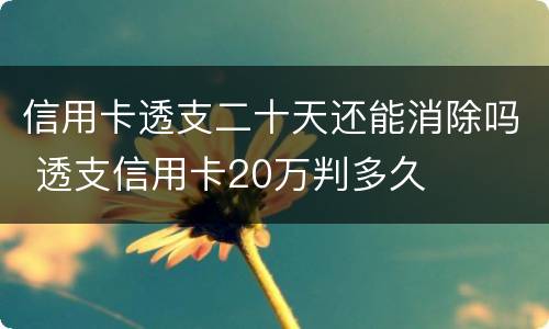 信用卡透支二十天还能消除吗 透支信用卡20万判多久