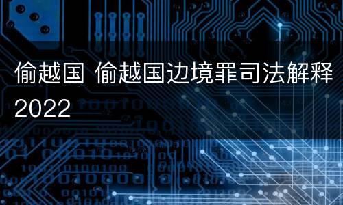 偷越国 偷越国边境罪司法解释2022