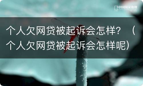 个人欠网贷被起诉会怎样？（个人欠网贷被起诉会怎样呢）