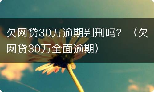 欠网贷30万逾期判刑吗？（欠网贷30万全面逾期）