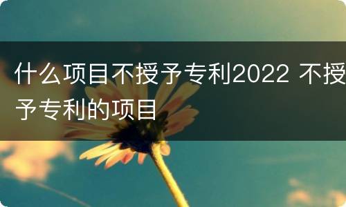 什么项目不授予专利2022 不授予专利的项目