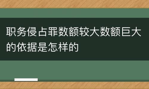 职务侵占罪数额较大数额巨大的依据是怎样的
