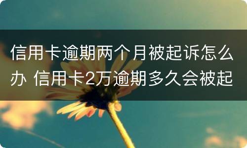 信用卡逾期两个月被起诉怎么办 信用卡2万逾期多久会被起诉
