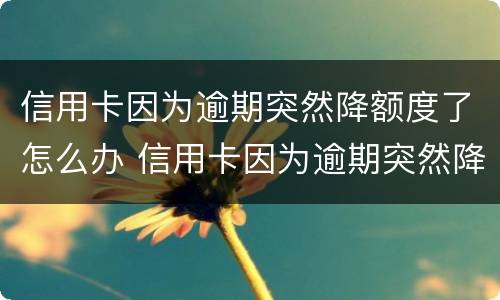 信用卡因为逾期突然降额度了怎么办 信用卡因为逾期突然降额度了怎么办理
