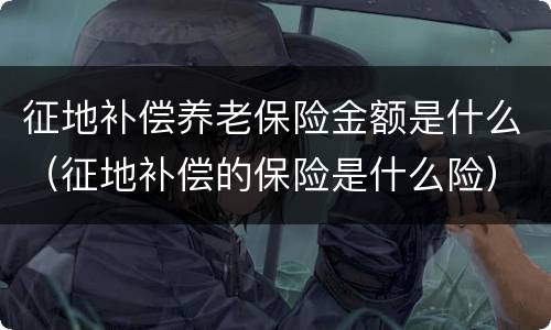 征地补偿养老保险金额是什么（征地补偿的保险是什么险）