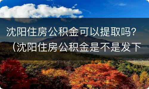 沈阳住房公积金可以提取吗？（沈阳住房公积金是不是发下来就可以提取）