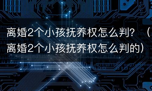 离婚2个小孩抚养权怎么判？（离婚2个小孩抚养权怎么判的）
