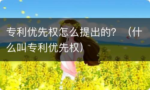 专利优先权怎么提出的？（什么叫专利优先权）