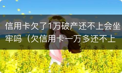 信用卡欠了1万破产还不上会坐牢吗（欠信用卡一万多还不上会坐牢吗）