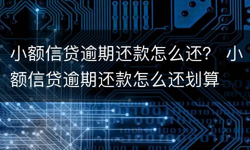 小额信贷逾期还款怎么还？ 小额信贷逾期还款怎么还划算