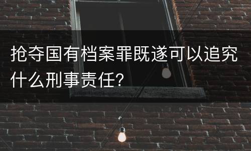 抢夺国有档案罪既遂可以追究什么刑事责任？
