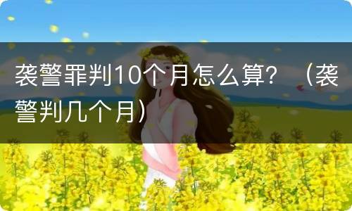 袭警罪判10个月怎么算？（袭警判几个月）