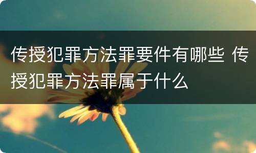传授犯罪方法罪要件有哪些 传授犯罪方法罪属于什么
