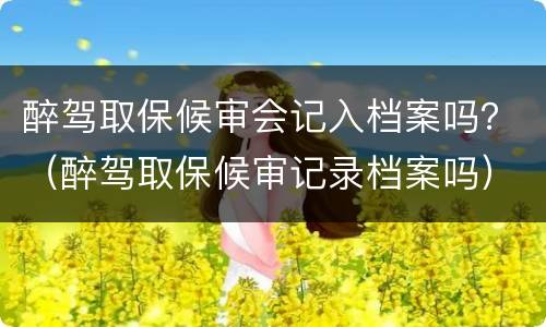 醉驾取保候审会记入档案吗？（醉驾取保候审记录档案吗）