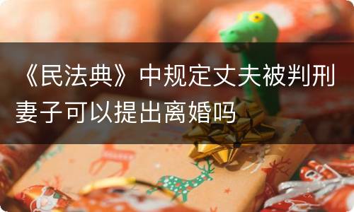 《民法典》中规定丈夫被判刑妻子可以提出离婚吗