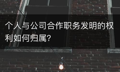 个人与公司合作职务发明的权利如何归属？