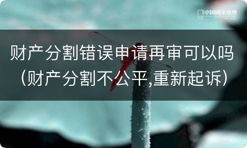 财产分割错误申请再审可以吗（财产分割不公平,重新起诉）
