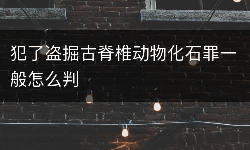 犯了盗掘古脊椎动物化石罪一般怎么判