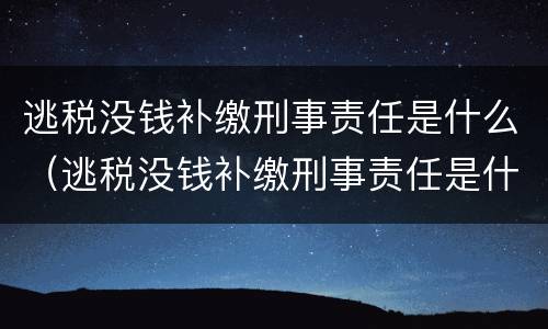 逃税没钱补缴刑事责任是什么（逃税没钱补缴刑事责任是什么意思）