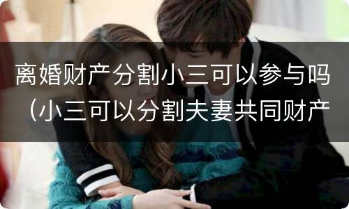 离婚财产分割小三可以参与吗（小三可以分割夫妻共同财产吗）