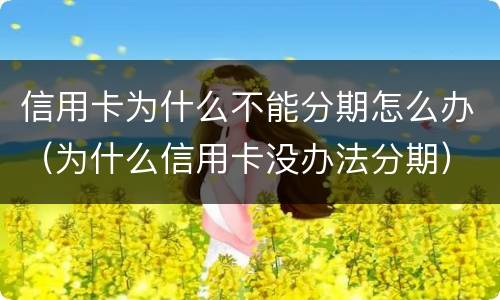 信用卡为什么不能分期怎么办（为什么信用卡没办法分期）
