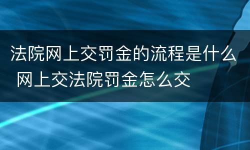法院网上交罚金的流程是什么 网上交法院罚金怎么交