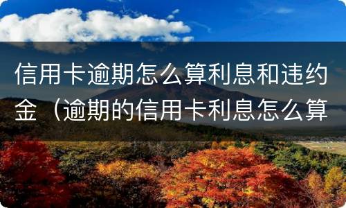 信用卡逾期怎么算利息和违约金（逾期的信用卡利息怎么算）
