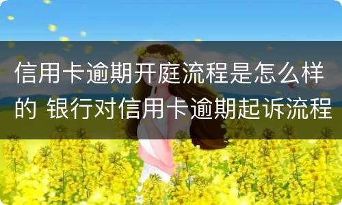 信用卡逾期开庭流程是怎么样的 银行对信用卡逾期起诉流程