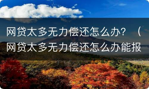 网贷太多无力偿还怎么办？（网贷太多无力偿还怎么办能报警?）