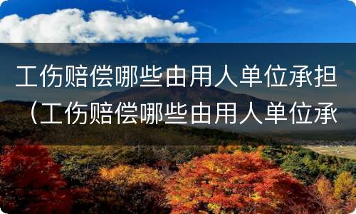 工伤赔偿哪些由用人单位承担（工伤赔偿哪些由用人单位承担的）