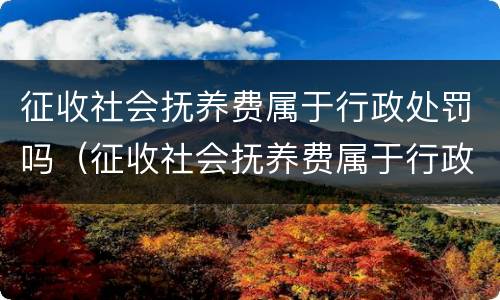 征收社会抚养费属于行政处罚吗（征收社会抚养费属于行政处罚吗）