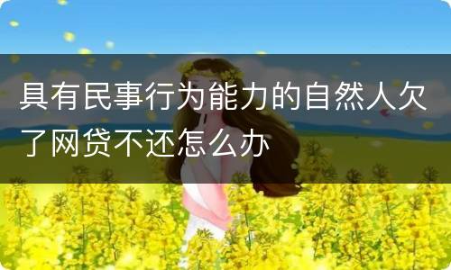具有民事行为能力的自然人欠了网贷不还怎么办