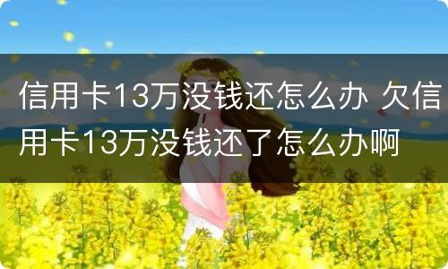 信用卡13万没钱还怎么办 欠信用卡13万没钱还了怎么办啊