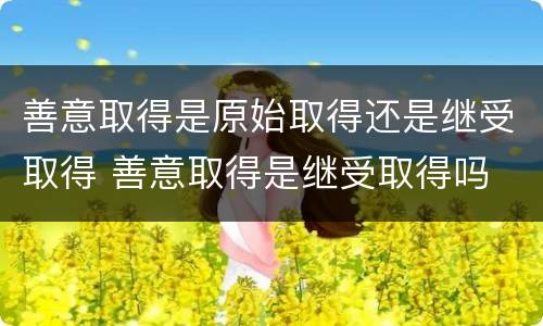 善意取得是原始取得还是继受取得 善意取得是继受取得吗