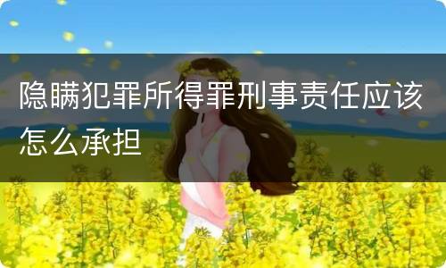 隐瞒犯罪所得罪刑事责任应该怎么承担