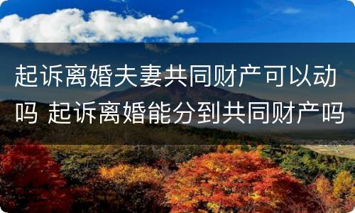 起诉离婚夫妻共同财产可以动吗 起诉离婚能分到共同财产吗