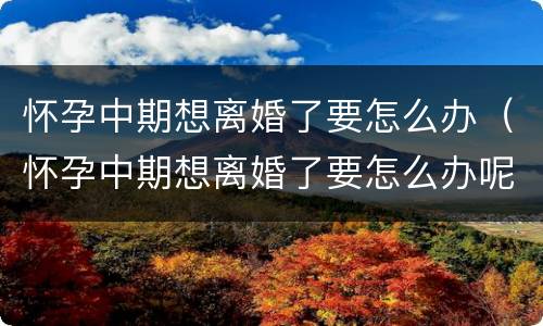 怀孕中期想离婚了要怎么办（怀孕中期想离婚了要怎么办呢）